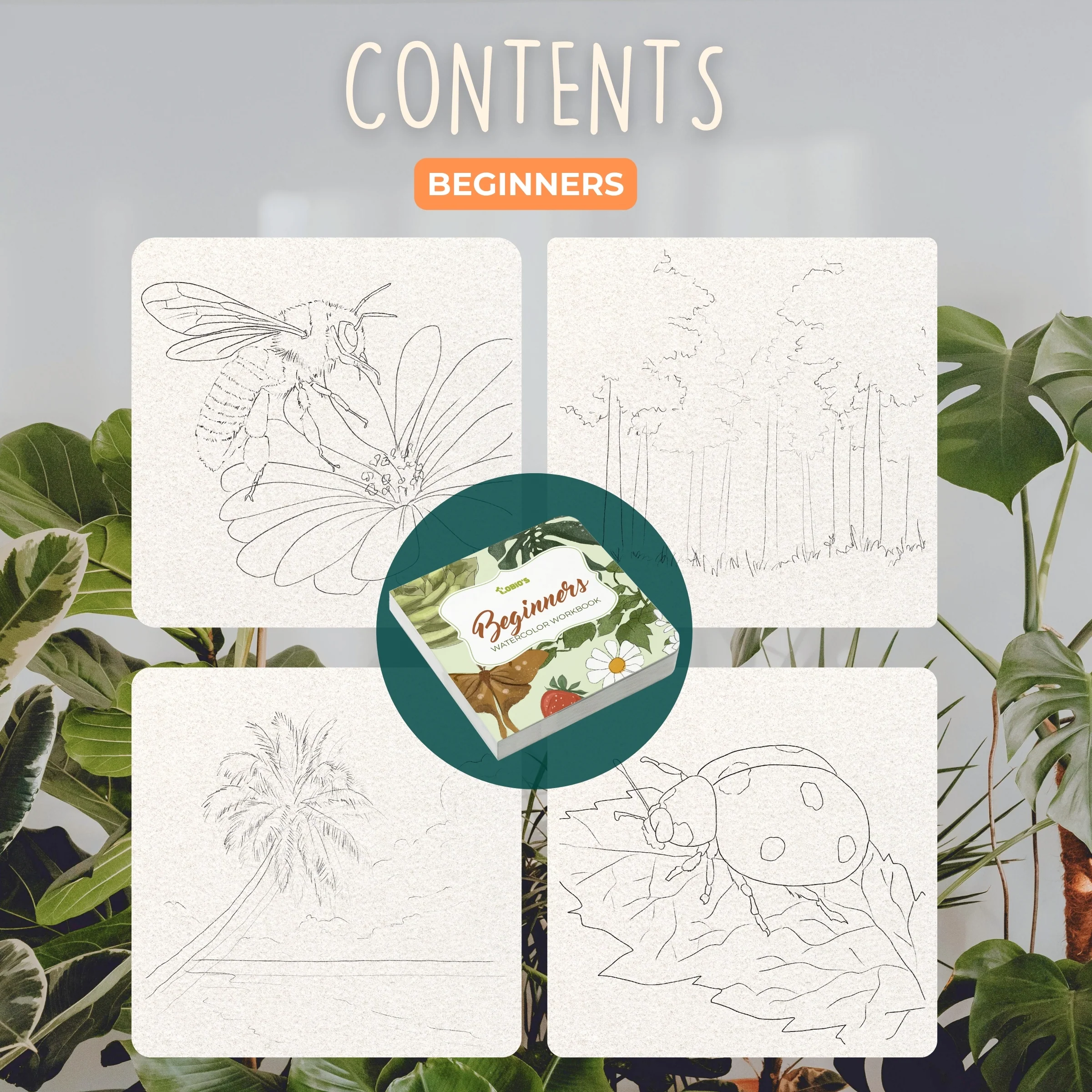 Tobio's Beginners Workbook - Image 5