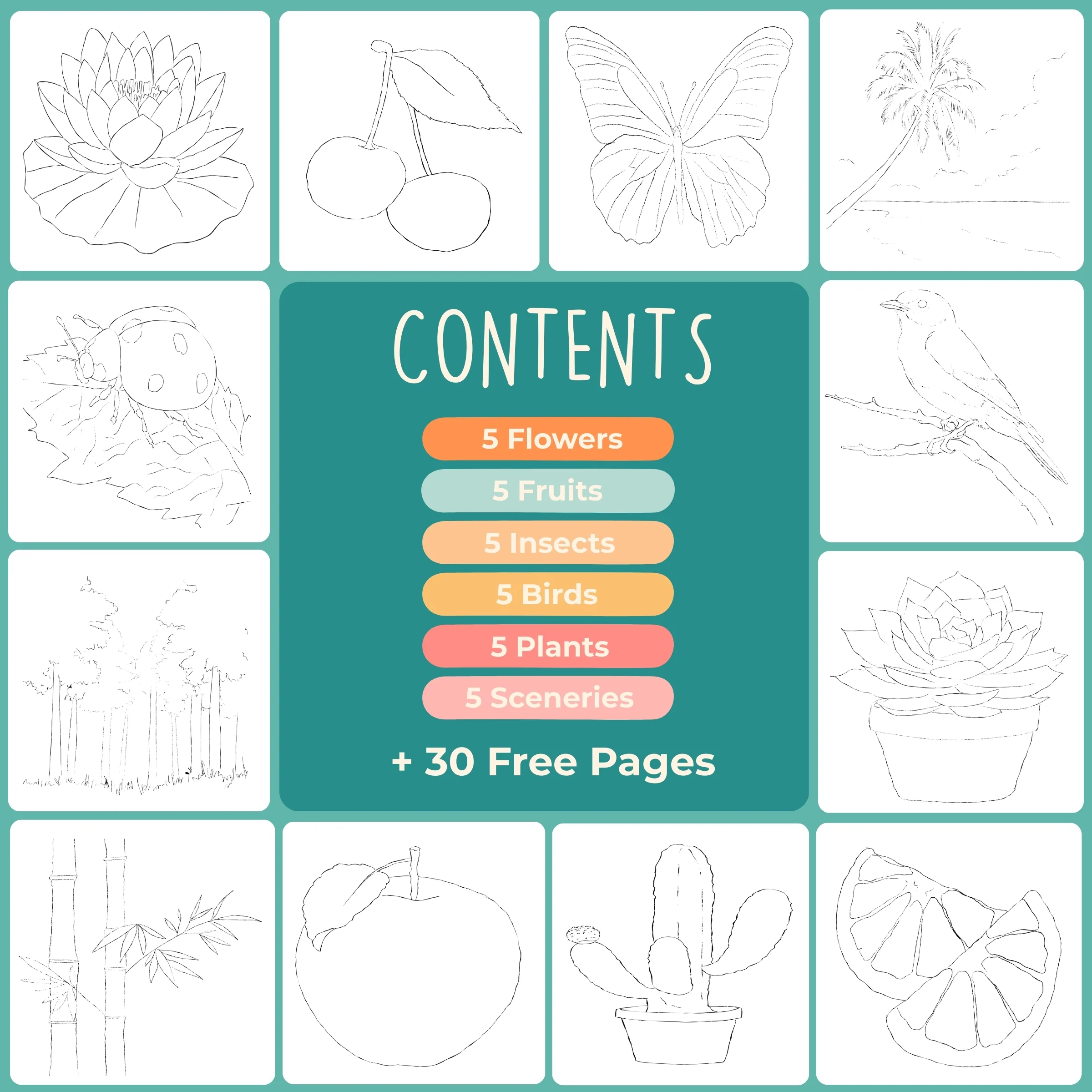 Tobio's Beginners Workbook - Image 3